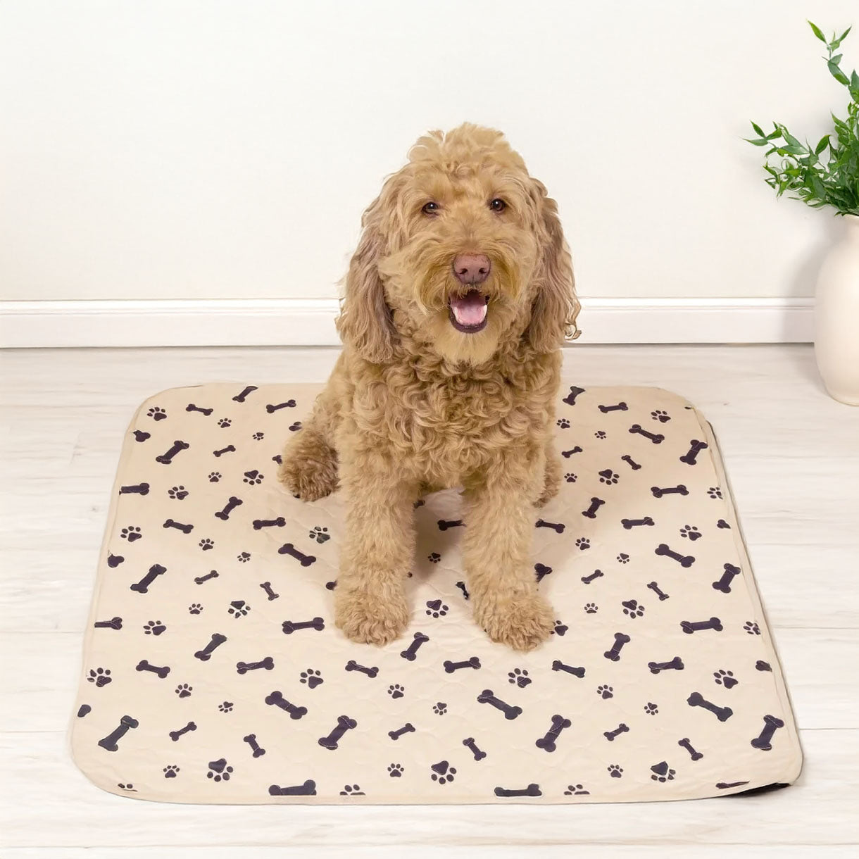 4 Tappetini Lavabili Antiscivolo Per Cani – Assorbenti E Riutilizzabili, Proteggono Divani E Pavimenti, 40x30 Cm