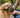 Uso corretto della museruola per cani: guida pratica