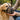 Uso corretto della museruola per cani: guida pratica