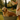 Golden retriever durante il bagnetto estivo in una tinozza in giardino mentre la proprietaria gli versa acqua sul dorso